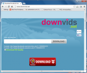 downvids_net